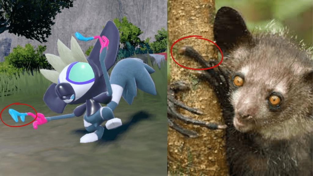 Comparação entre o Aye-Aye e o Grafaiai.